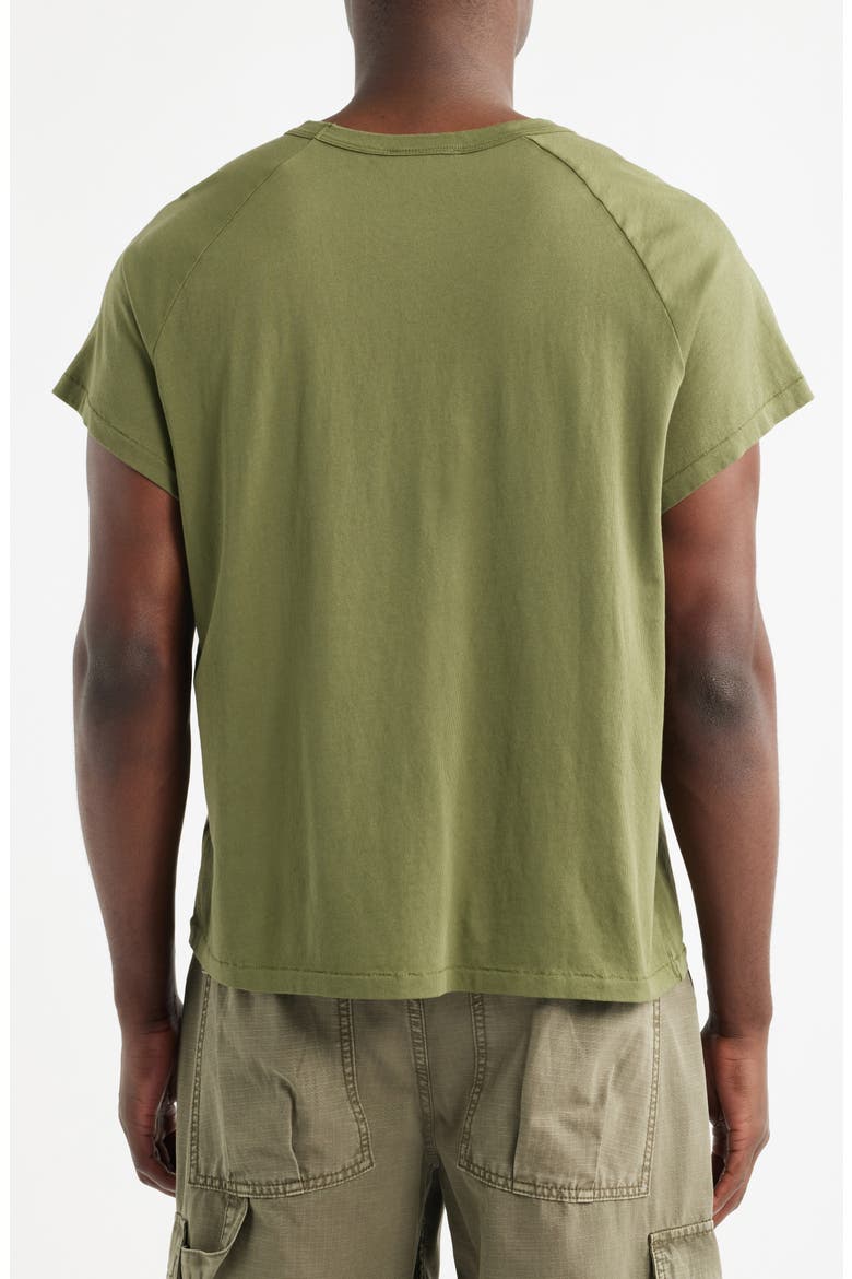 Raglan Sleeve T-Shirt, Alternate, color, OLIVE