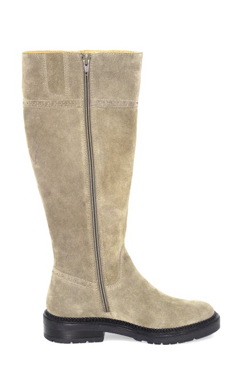 Gentle Souls Wheron Knee High Boot In Animal Print