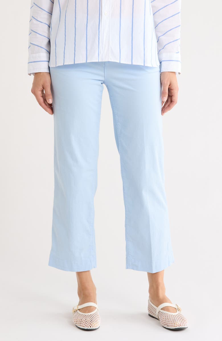 Frank & Eileen Westport Wide Leg Chino Pants, Main, color, Soft Blue