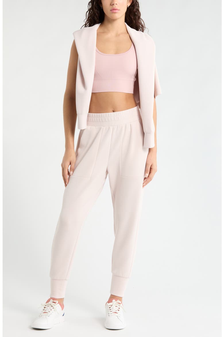 Soft Luxe High Waist Joggers, Alternate, color, PINK HUSH