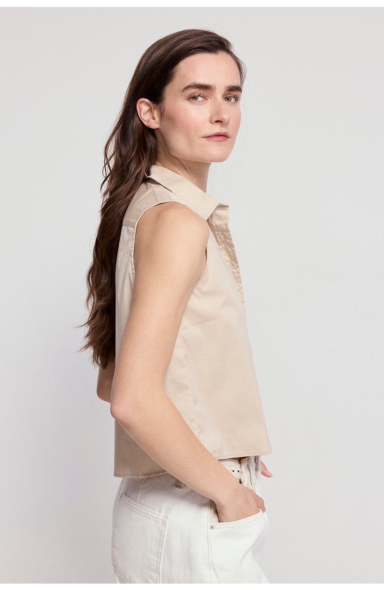 The Shirt by Rochelle Behrens The Boxy Cropped Sleeveless Shirt, Alternate, color, Taupe