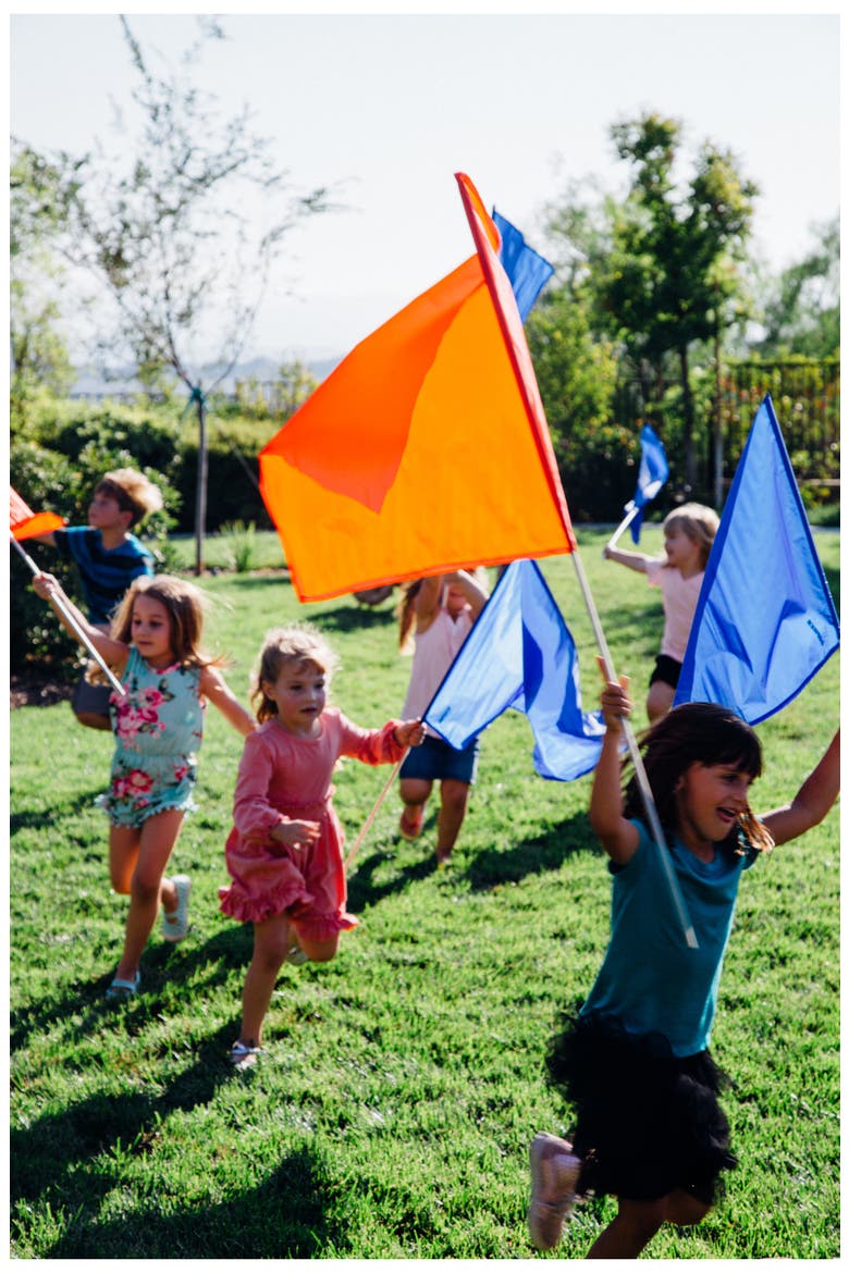 12-Pack Color Flag, Alternate, color, RED