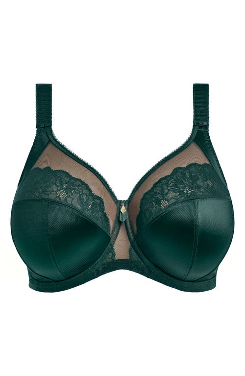 Elomi Plus Size Cate Allure Underwire Bra In Green