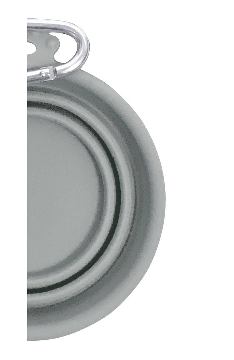 FFDPet Silicone Travel Bowl For Dogs and Cats, Xsmall 7oz, Alternate, color, Multicolored