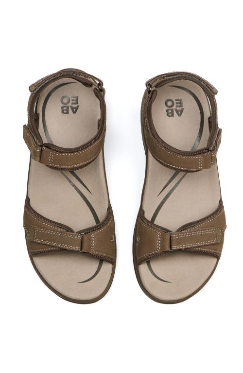 Abeo Goleta In Brown - Regular