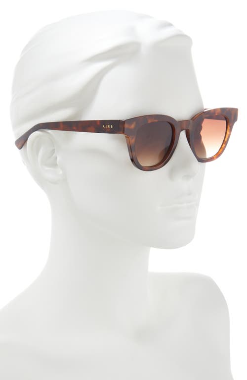 Aire 50mm Dorado D-frame Sunglasses In Brown