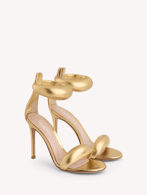 Gianvito Rossi Bijoux In Gold