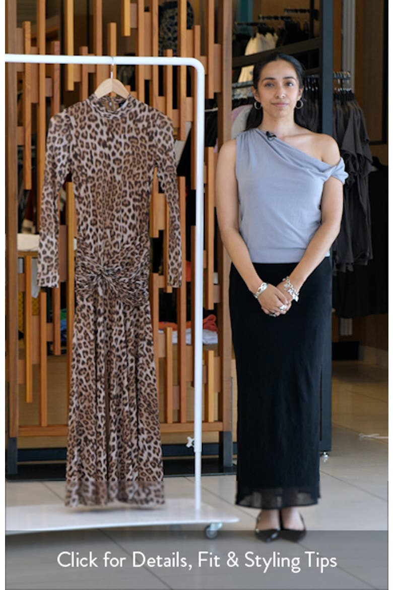 Lea Leopard Print Long Sleeve Mesh Midi Dress video