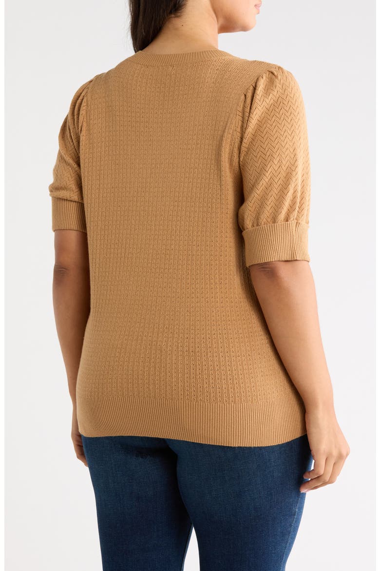 V-Neck Short Sleeve Pointelle Sweater, Alternate, color, P469 APPLE CINNAMON
