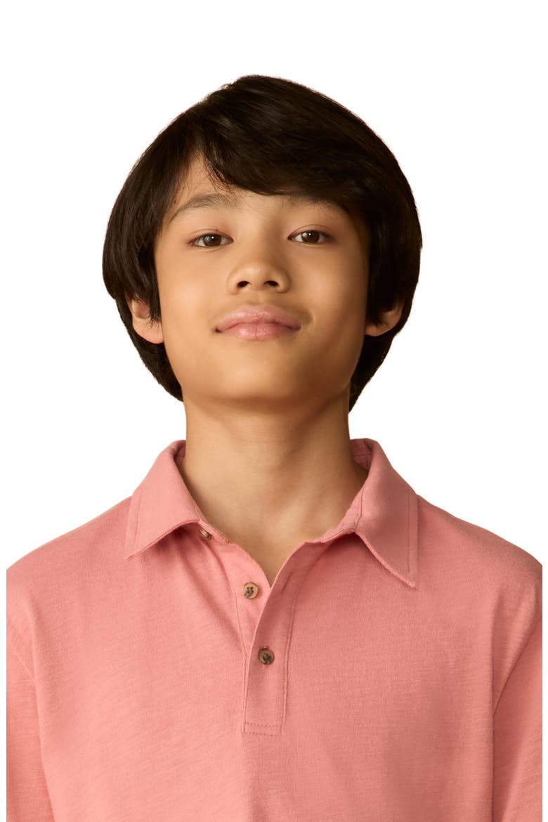 Kids' Sun Washed Organic Cotton Polo, Alternate, color, FADED FLAG