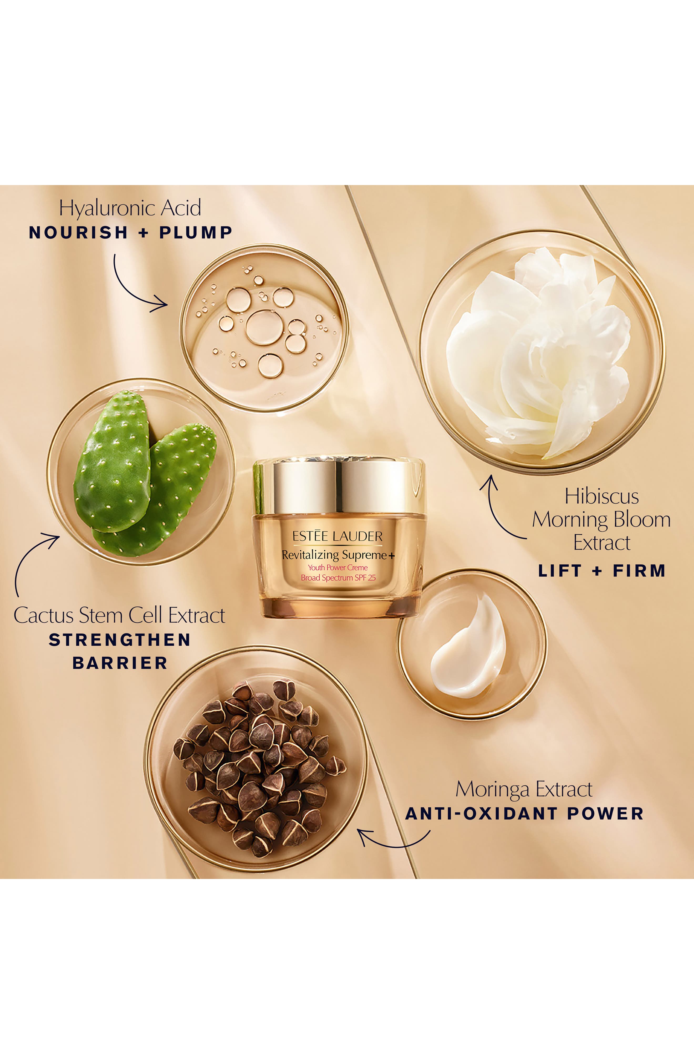 Revitalizing Supreme+ Youth Power Cream Moisturizer with