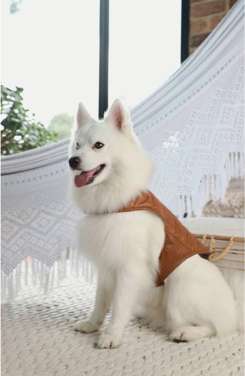 Masky Calm Fit Leather Vest, Alternate, color, Cooper