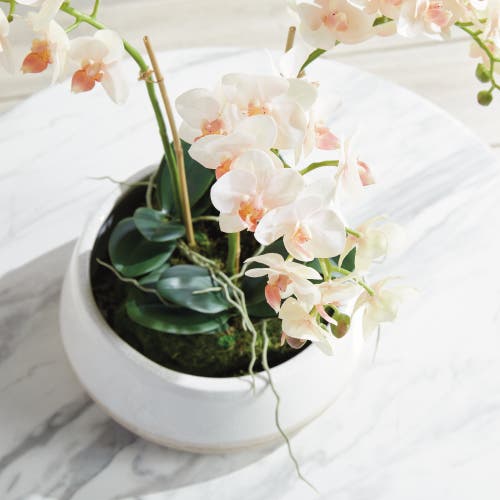 Napa Home & Garden Phalaenopsis Mini Garden Artificial Plant Drop-in In Green