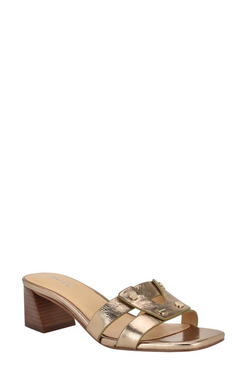 Calvin Klein Andrae Slide Sandal In Brown