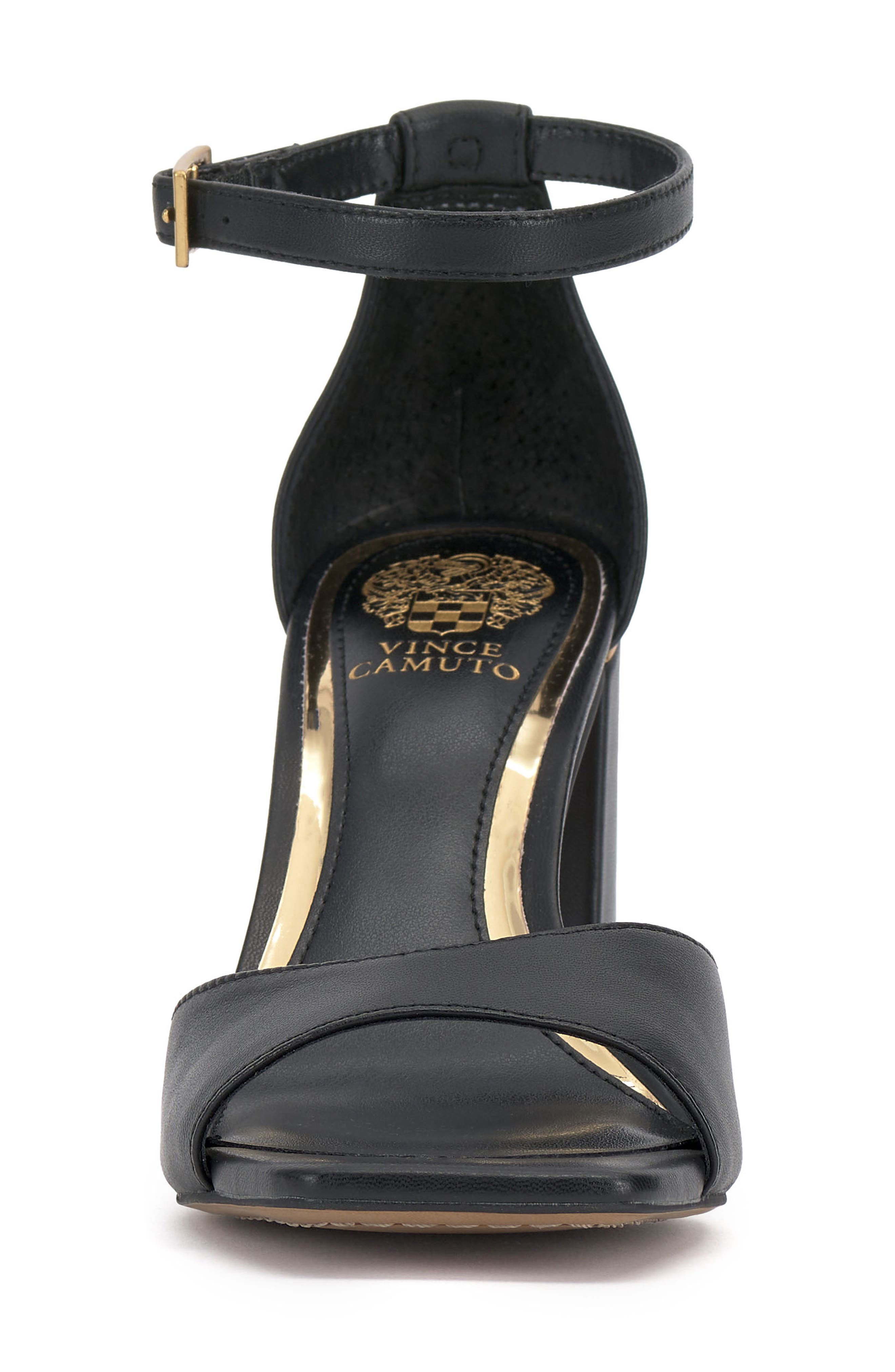 Haydin Ankle Strap Sandal, Alternate, color, BLACK