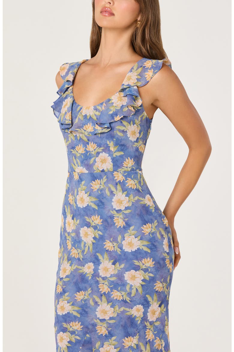 Caroletta Floral Ruffle Maxi Dress, Alternate, color, BLUE FLORAL