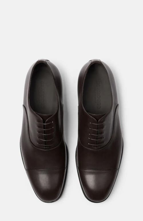 Scarosso Salvatore Oxfords