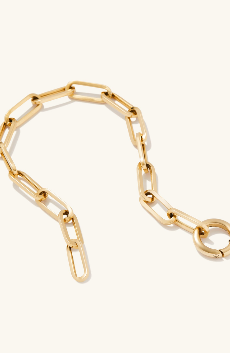 MEJURI Paperclip Chain Charm Bracelet, Alternate, color, 18K Gold Vermeil