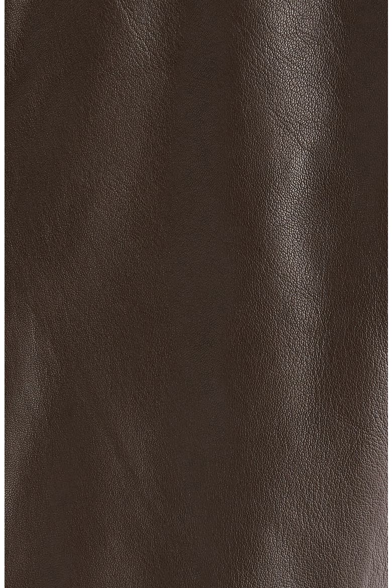 Reinvented Leather Jacket, Alternate, color, EARTH