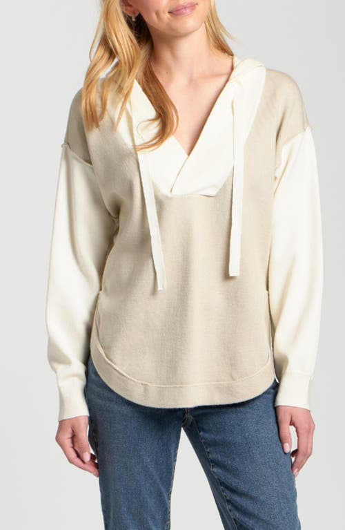 Apny Colorblock Oversize Hoodie In Neutral