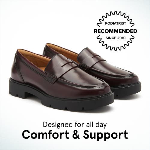 Abeo Boulevard Loafer In Dark Brown - Regular