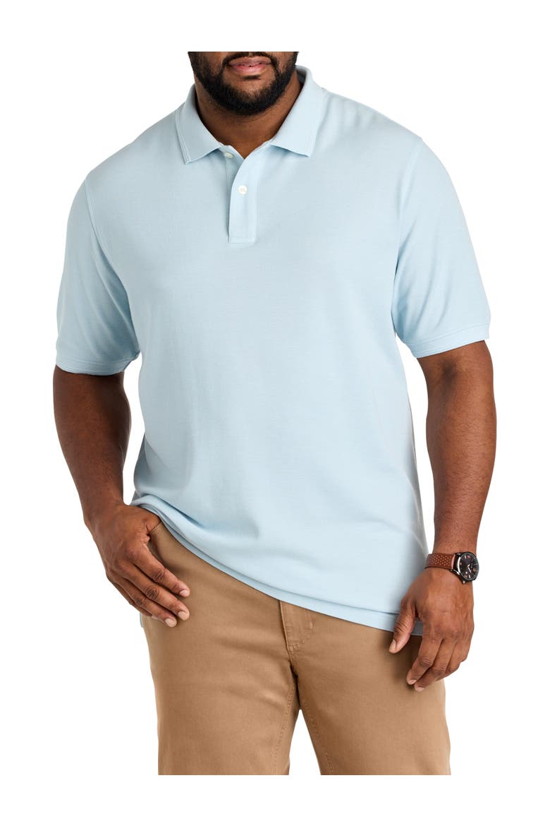 Big & Tall Garment-Dyed Polo Shirt, Main, color, FORGET ME KNOT