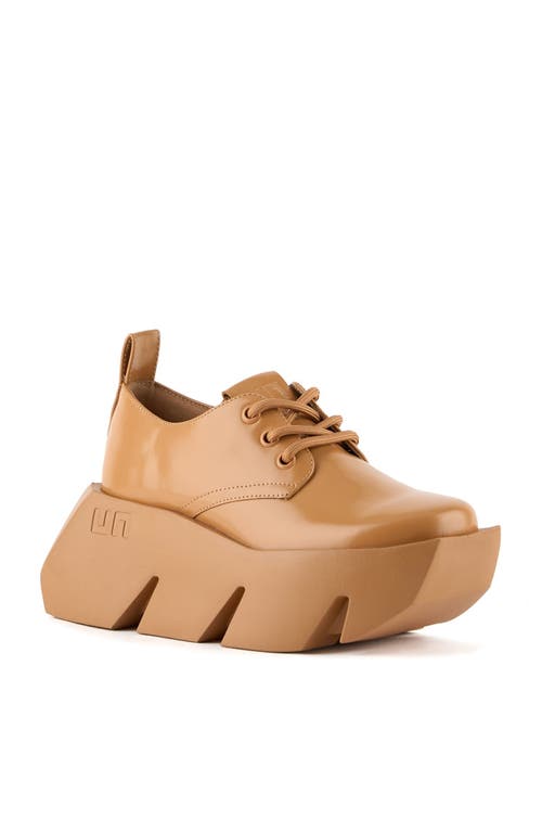 United Nude Bull Derby In Brown