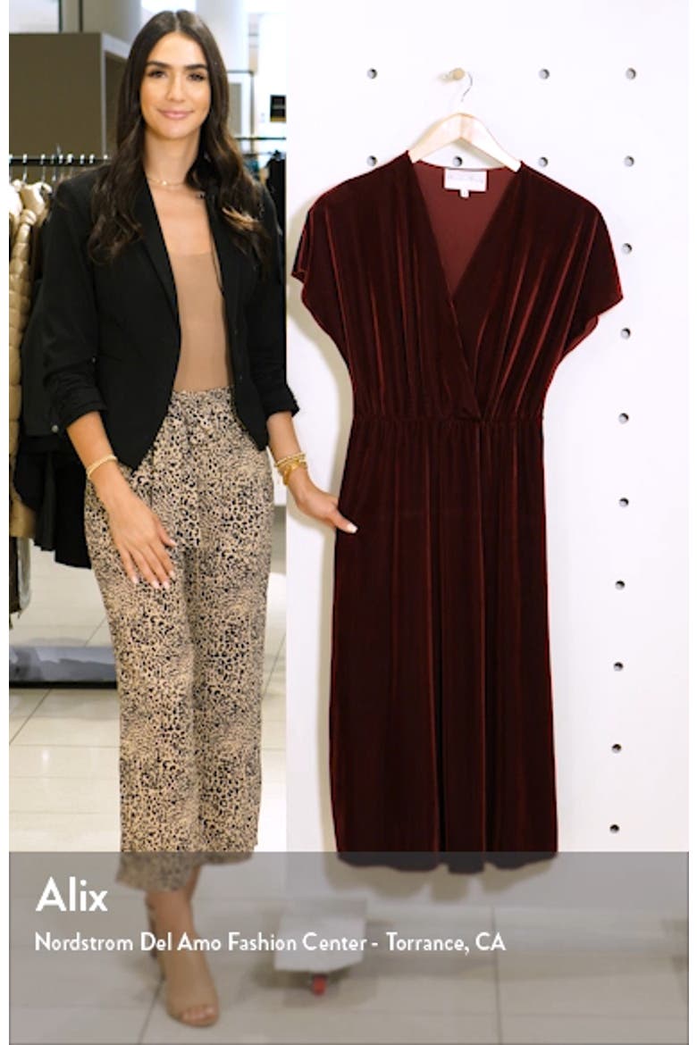 Texture Stripe Stretch Velvet Midi Dress video