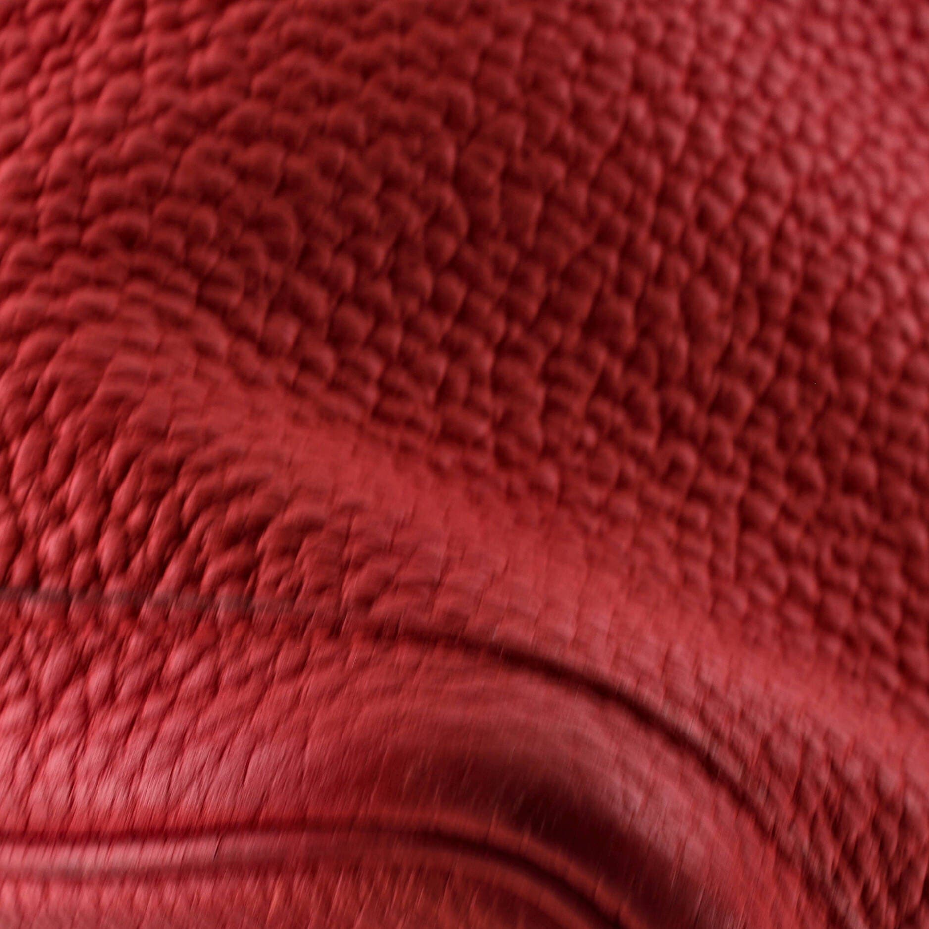 Garden Party Tote Leather 36, Alternate, color, Red