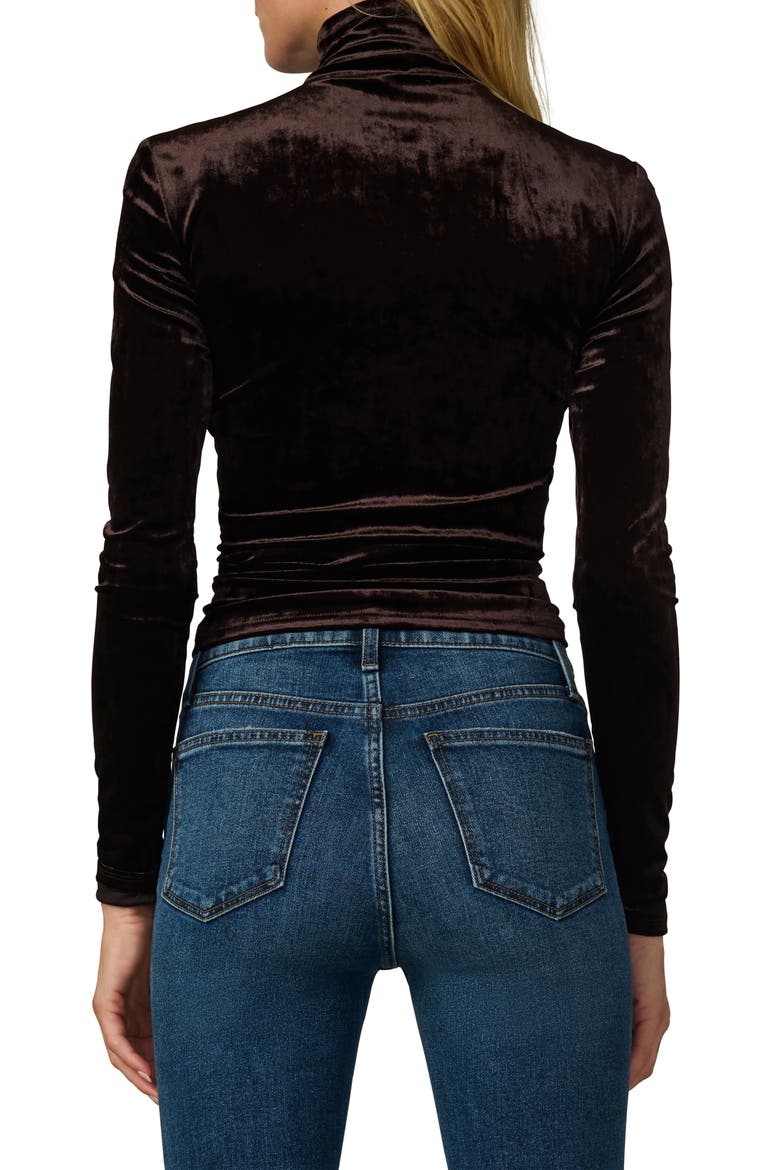 The Velvet Tony Turtleneck Top, Alternate, color, CACAO
