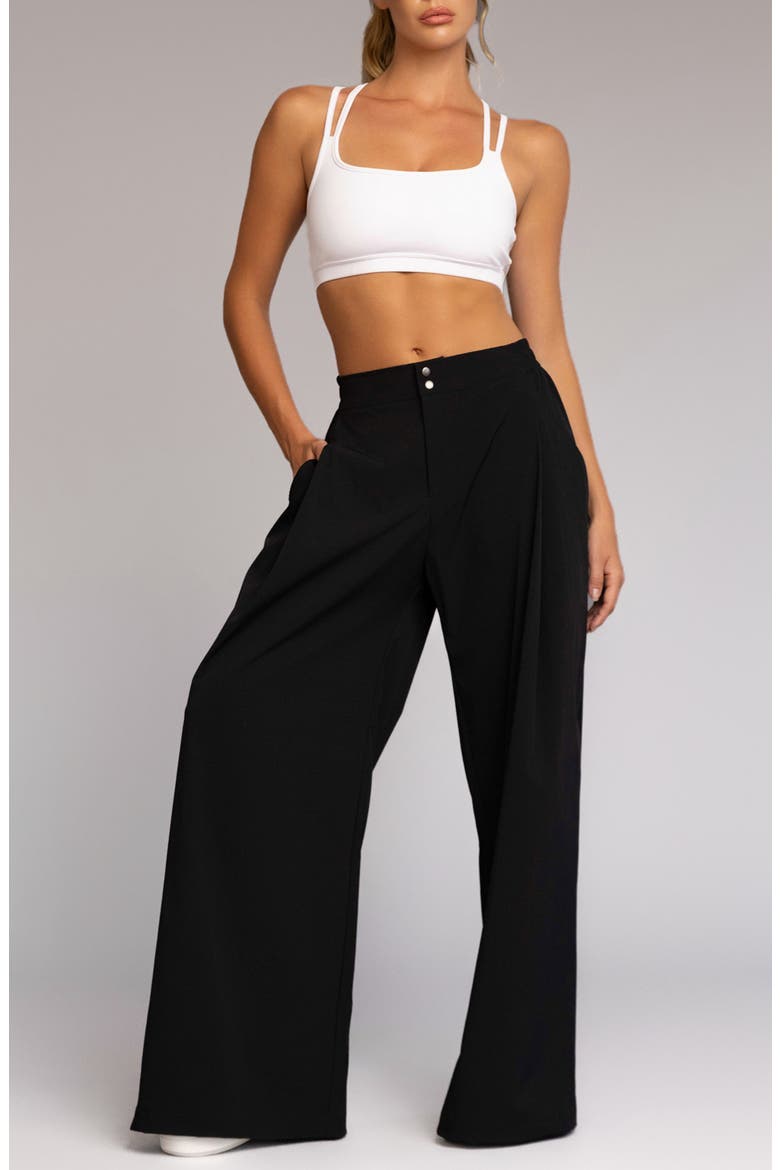 Daja Wide Leg Pants, Alternate, color, BLACK