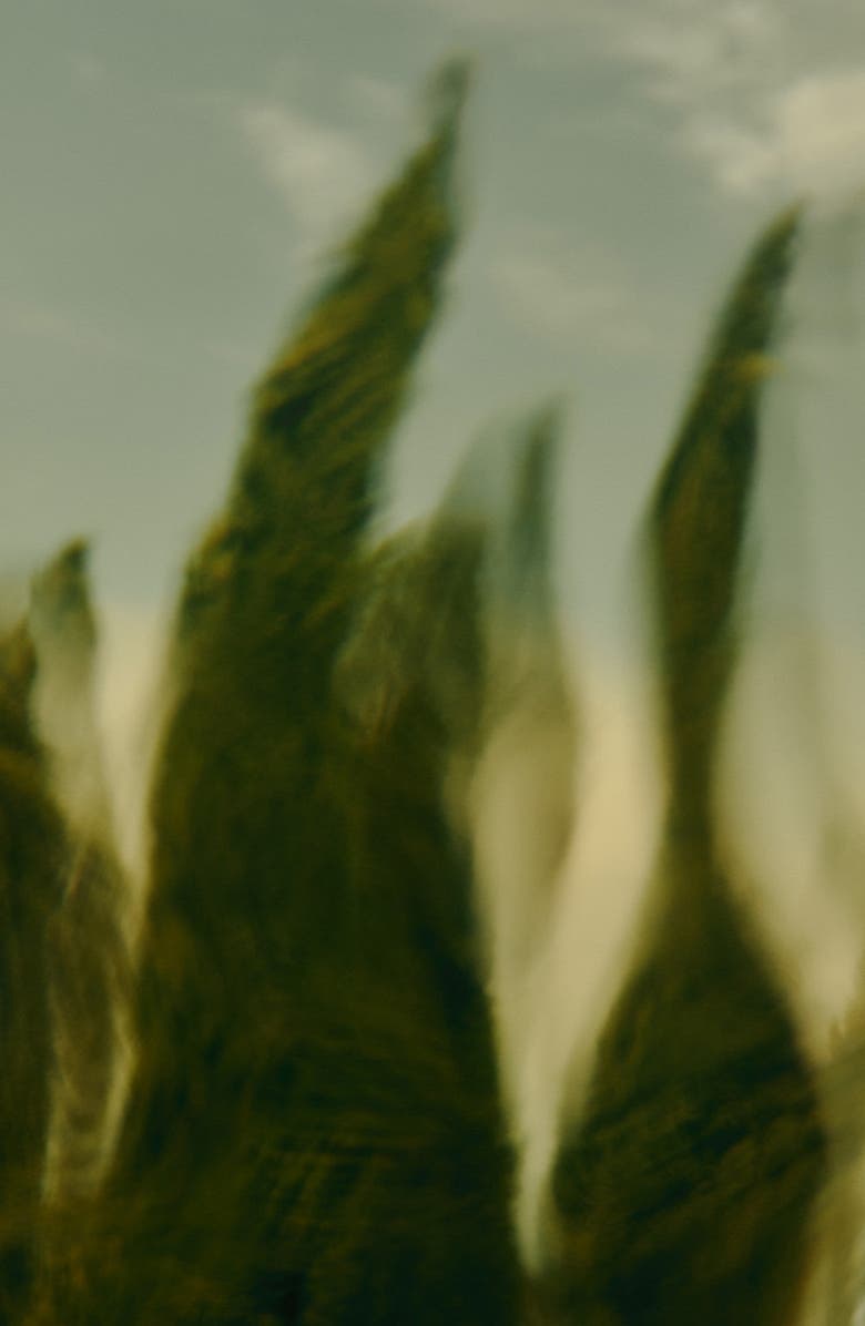 Aesop Virere Eau de Parfum, Alternate, color,