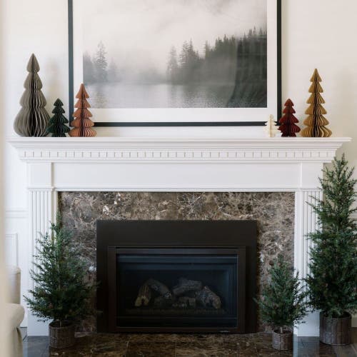 Cg Hunter Assorted Paper Trees