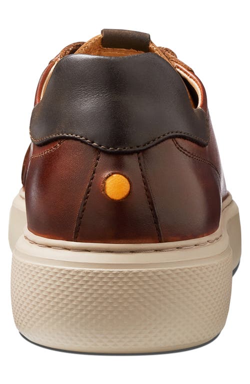 Samuel Hubbard Sunset Sneaker In Brown