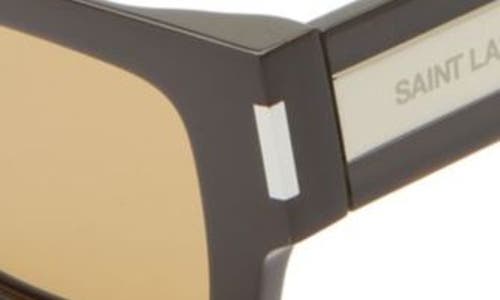 Saint Laurent 50mm Rectangular Sunglasses In Brown
