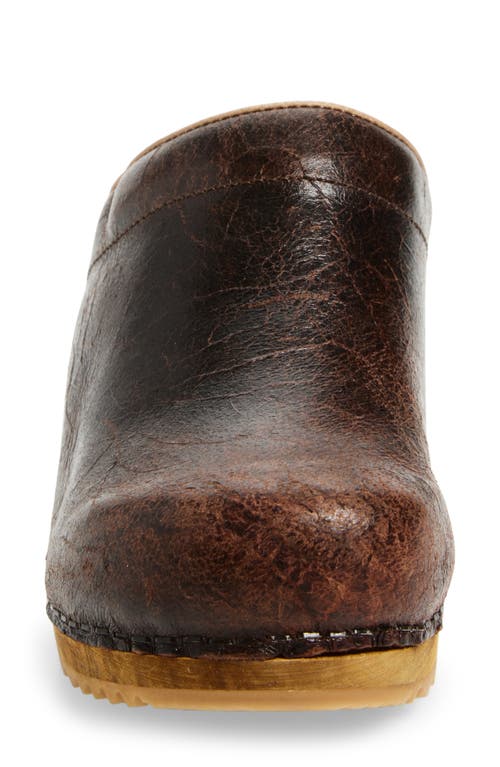 Sanita Melissa Clog In Brown