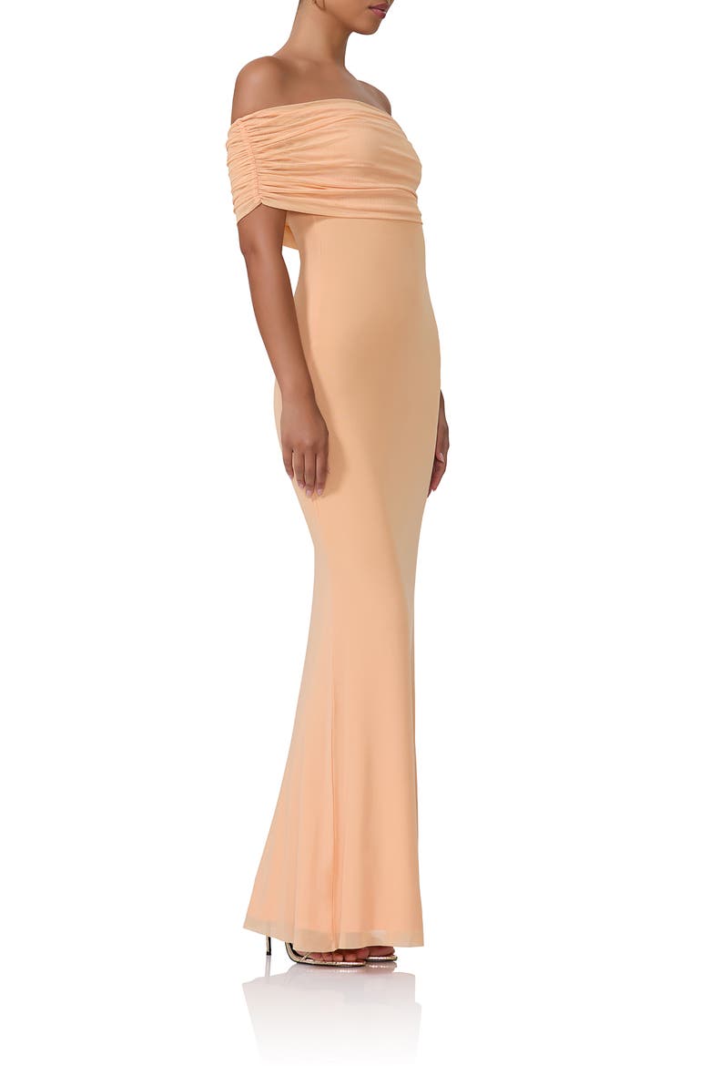McCall Off the Shoulder Mesh Maxi Dress, Alternate, color, PEACH FUZZ