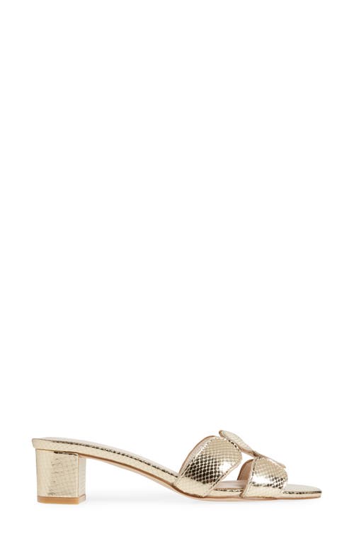 Koko + Palenki Lively Slide Sandal