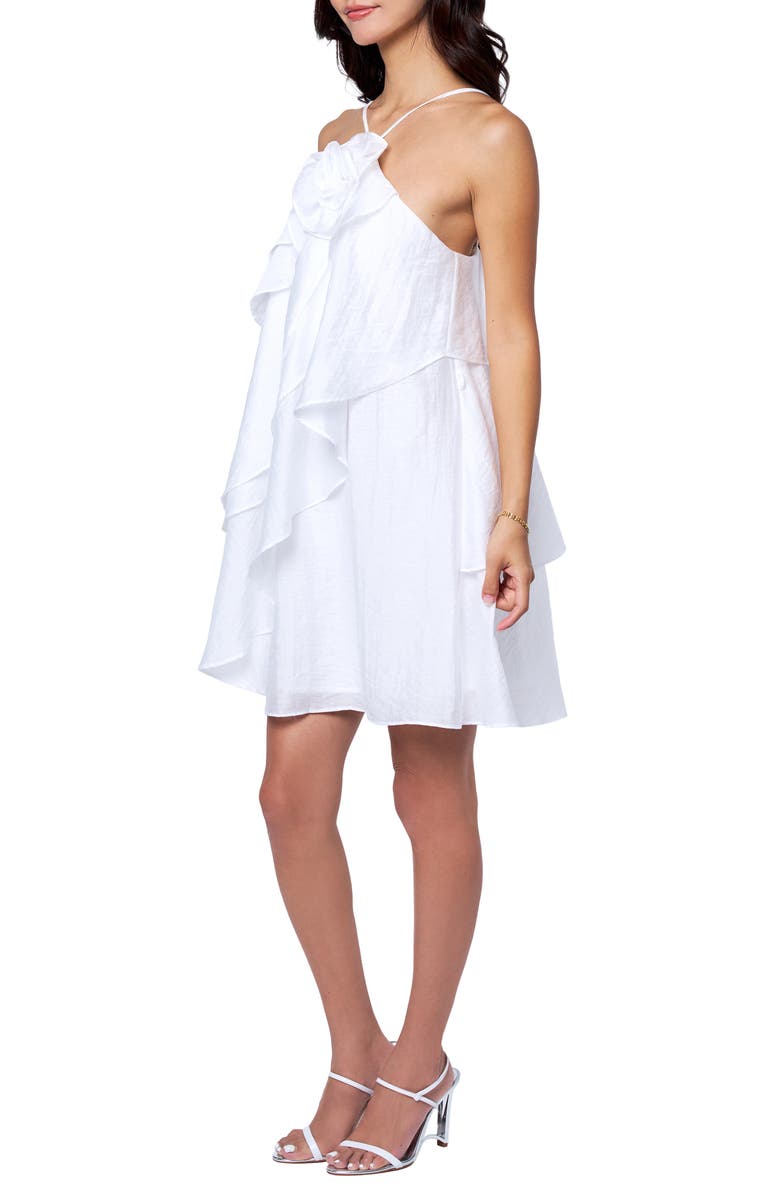 CIEBON Kaia Ruffle Trapeze Dress, Alternate, color, 