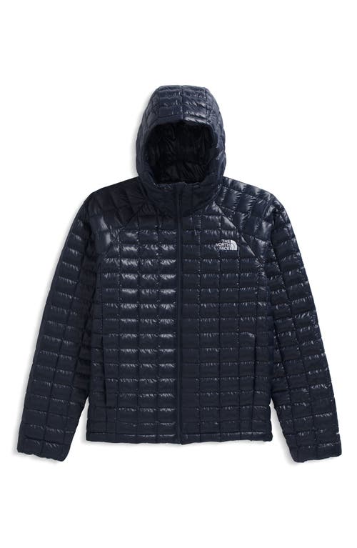 The North Face Thermoball Quilted Hooded Jacket In Blue