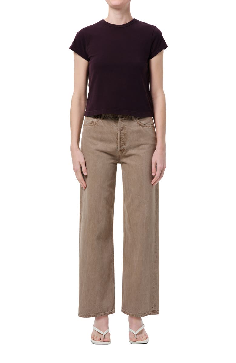 AGOLDE Ren Flyweight High Waist Ankle Wide Leg Jeans, Alternate, color, Trail