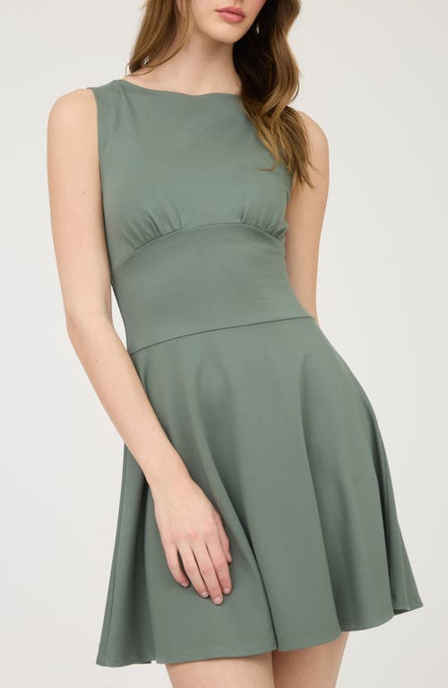 Blu Pepper Fit & Flare Minidress
