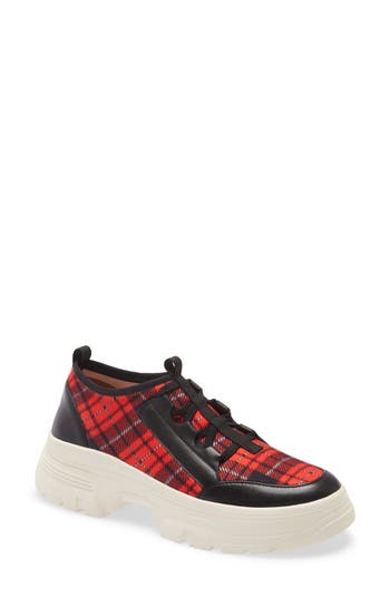 Linea Paolo Rowen Sneaker In Multi