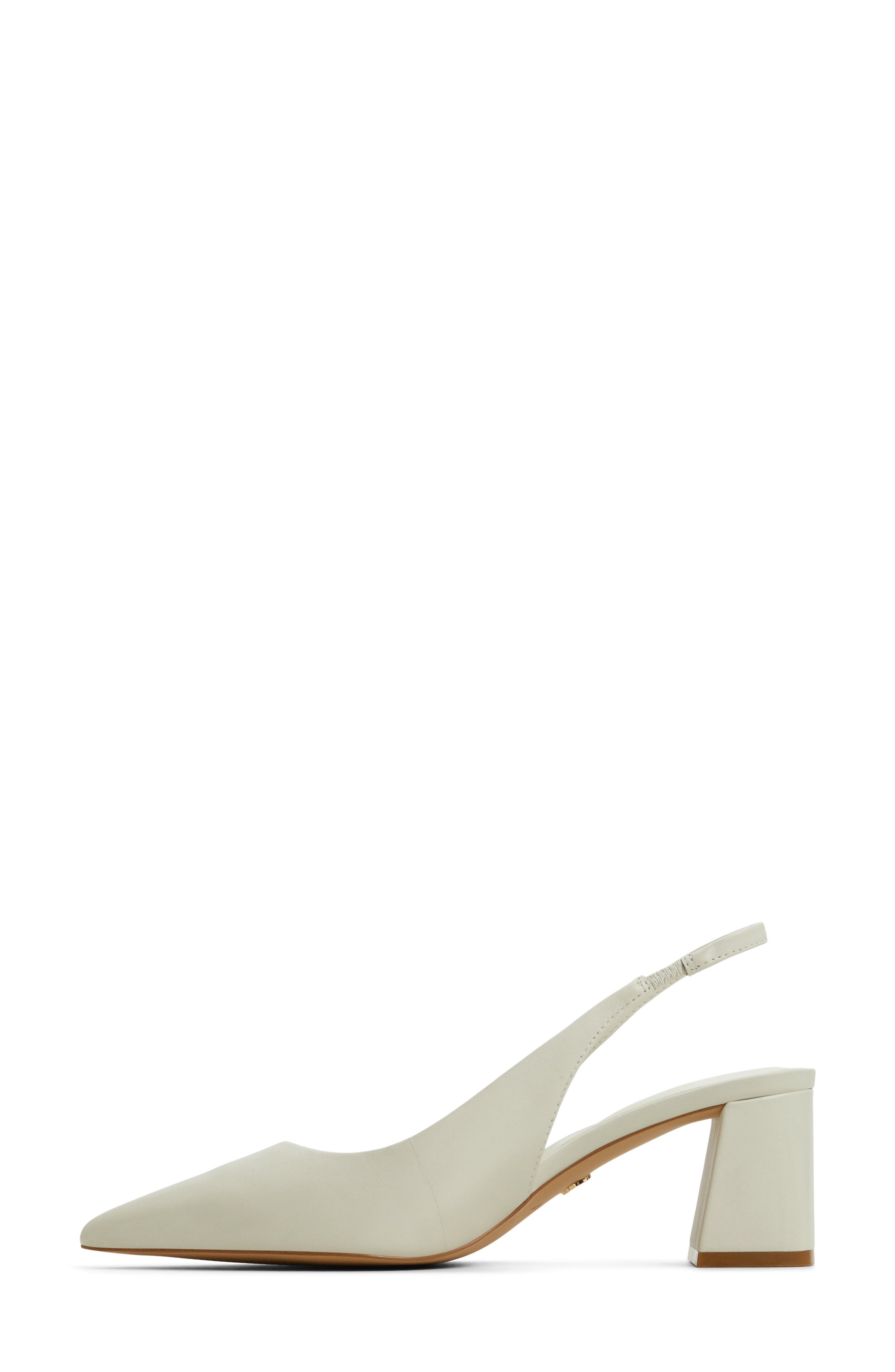 ALDO Uliana Pointed Toe Slingback Pump, Alternate, color, 