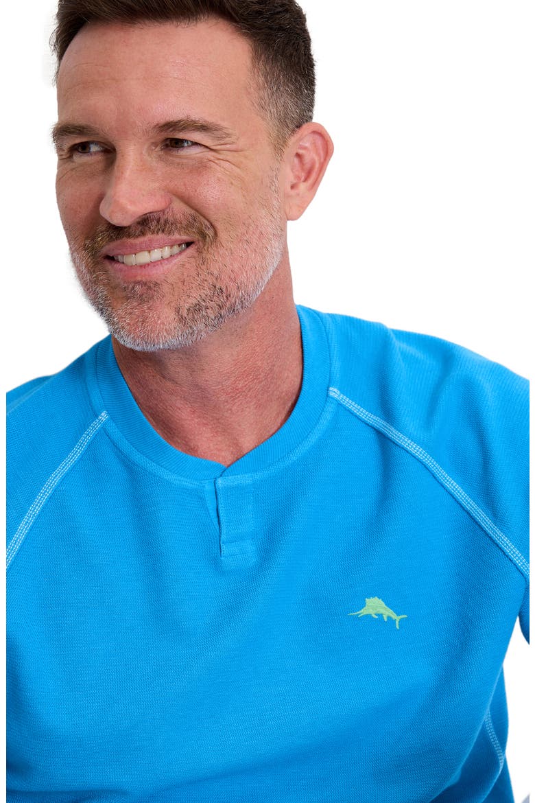 Montego Bay Abaco Long Sleeve Cotton & Lyocell Notch Neck Sweatshirt, Alternate, color, CAMPANULA