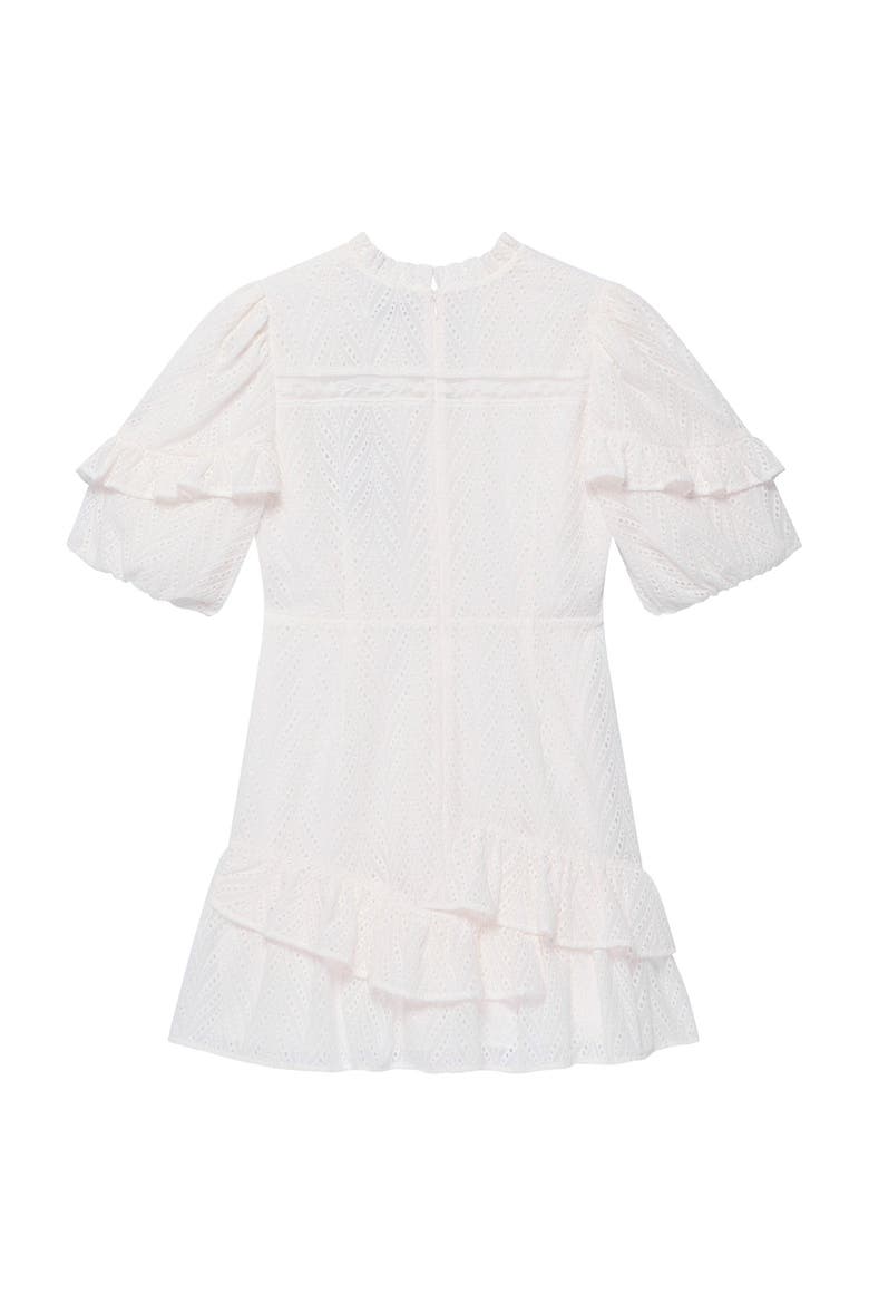 Embroidered Detail Mini Dress, Alternate, color, Ivory