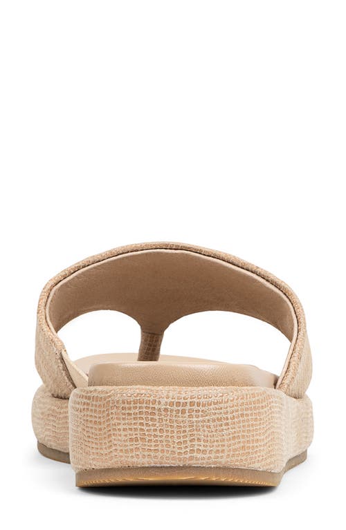 Donald Pliner Aneetas Flip Flop In Brown