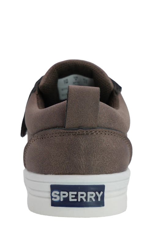 Sperry Kids' Low Top Sneaker In Brown