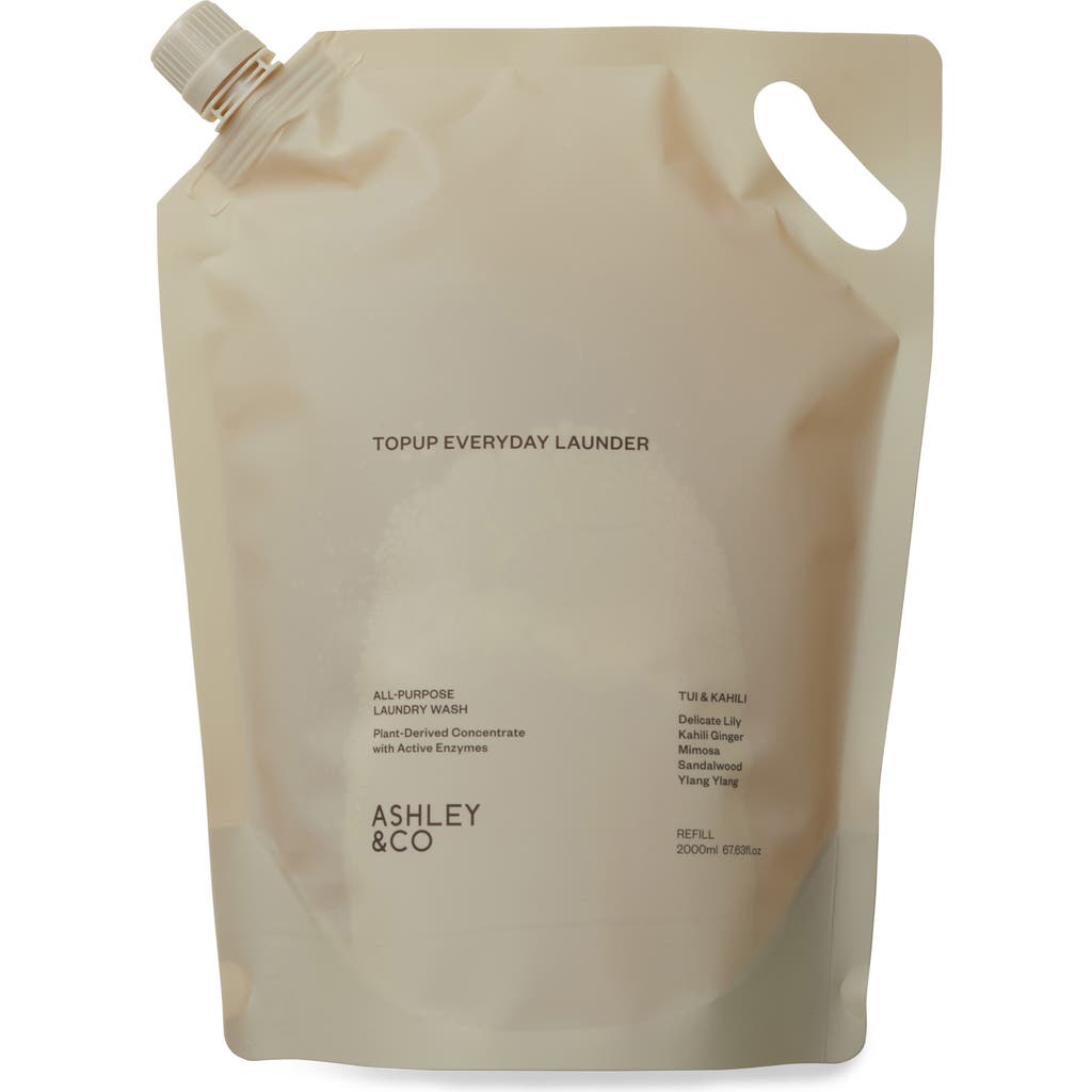 Ashley & Co Topup Everyday Launder All Purpose Laundry Wash Refill In Gray