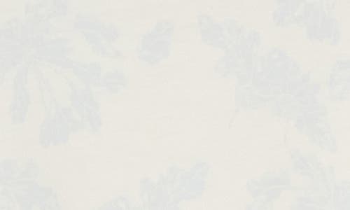 Rag & Bone Summer Leaf T-shirt In White